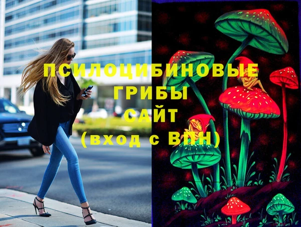 каннабис Арсеньев