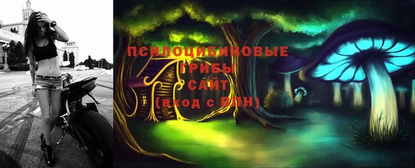 твердый Алексеевка